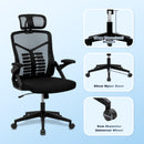 Standing Desk