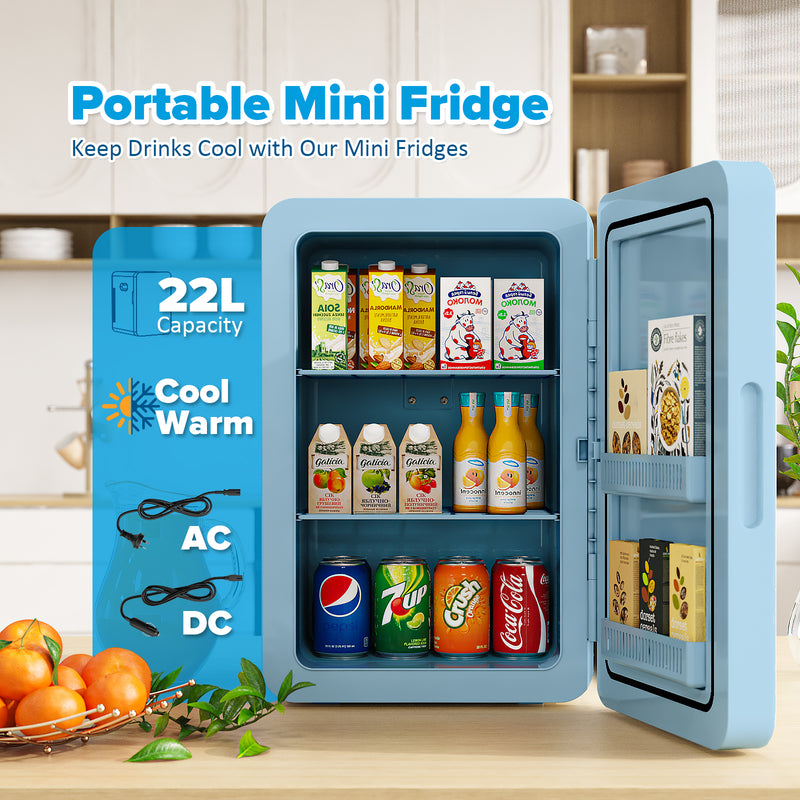 Advwin 22L AC/DC Portable Fridge Mini Refrigerator