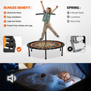 mini trampoline