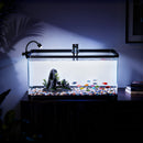 Advwin Fish Tank 50L with Artificial Hill 3-Color Lighting