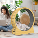 Advwin Cat Exercise Wheel  Running Wheel