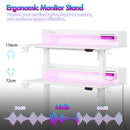 Advwin LED RGB Light Electric Standing Desk White