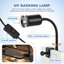 Advwin Turtle Tank Kit with Basking Platform & Basking Light