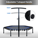 Fitness Trampoline