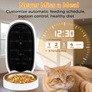 Advwin 3L Automatic Cat Feeder with 2K Camera