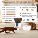 Advwin 2-in-1 Automatic Cat Feeder and Water Fountain