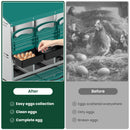 Advwin 8-Hole Galvanized Chicken Nesting Box
