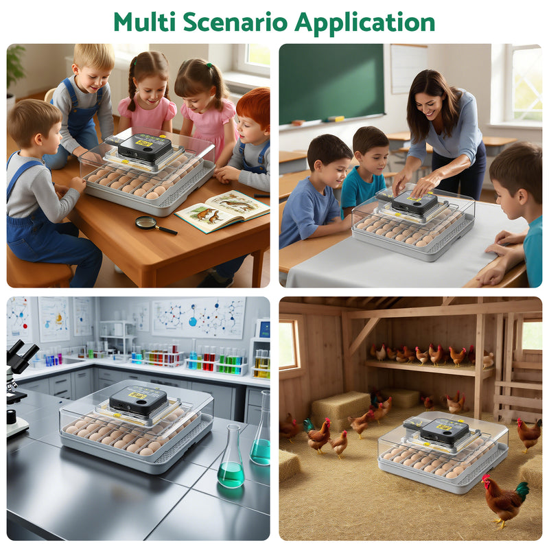 Advwin 48 Egg Incubator for Hatching Eggs