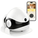 Advwin Moving Pet Camera Robot with Cat Teaser
