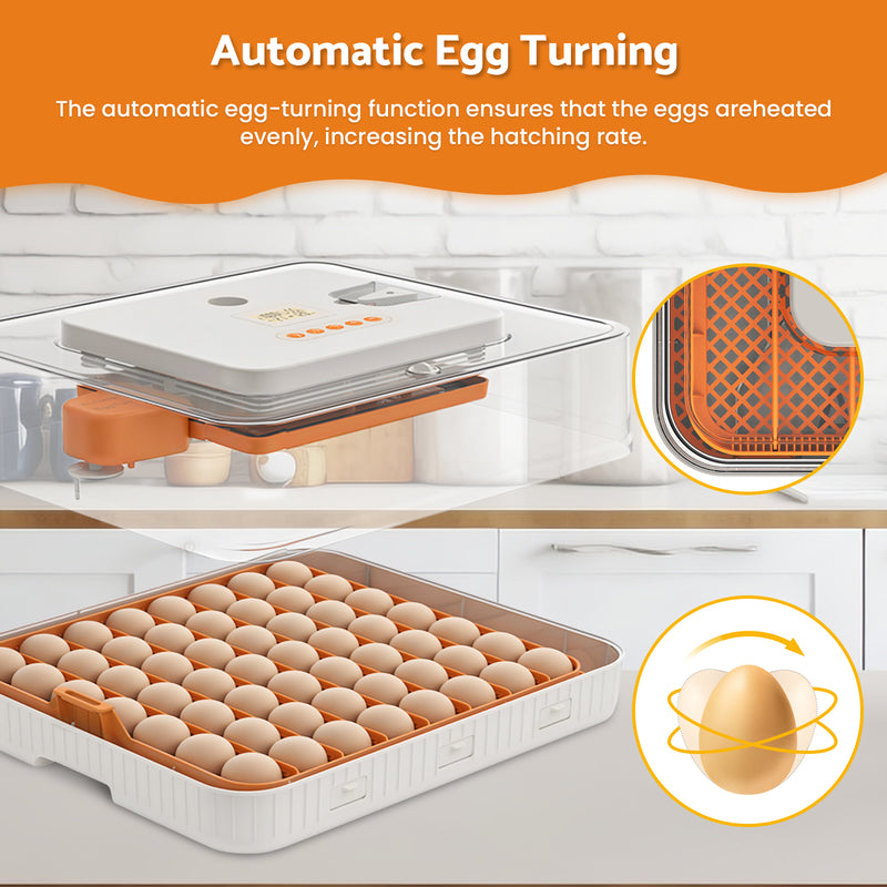 Advwin 56 Eggs Incubator with Temperature Control