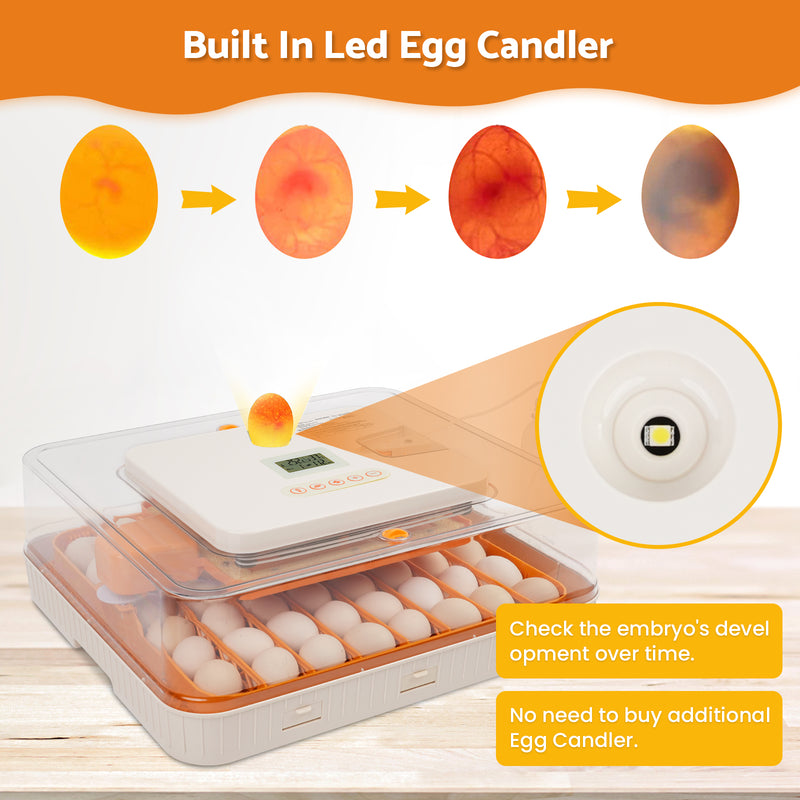 Advwin 56 Eggs Incubator with Temperature Control