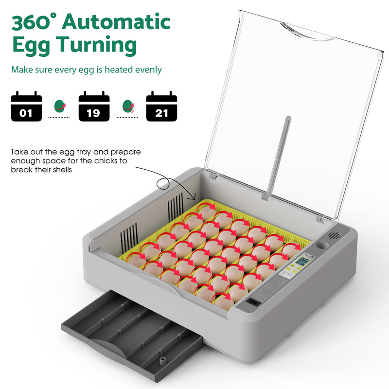 Advwin 36 Eggs Incubator with Automatic Turner