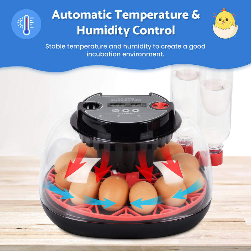 Advwin 12 Eggs Automatic Incubator for Hatching