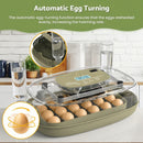 Advwin 24 Eggs Incubator with Automatic Turning & Egg Candler