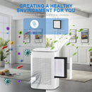 Advwin Portable Dehumidifiers with Air Purifier