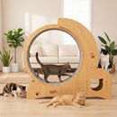 Advwin 4-in-1 Cat Exercise Wheel Large Cat Treadmill