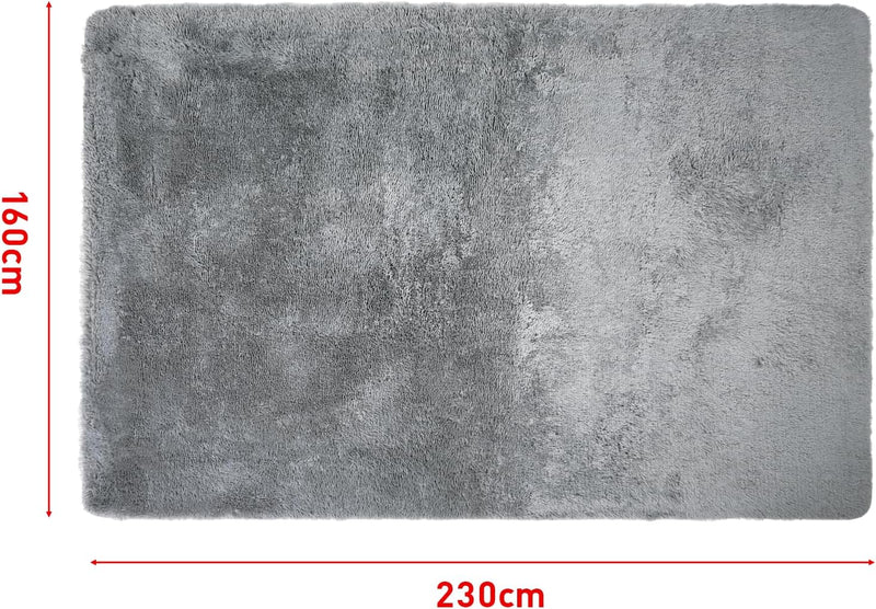 Advwin Non-Slip Shaggy Rugs Floor Rug Grey
