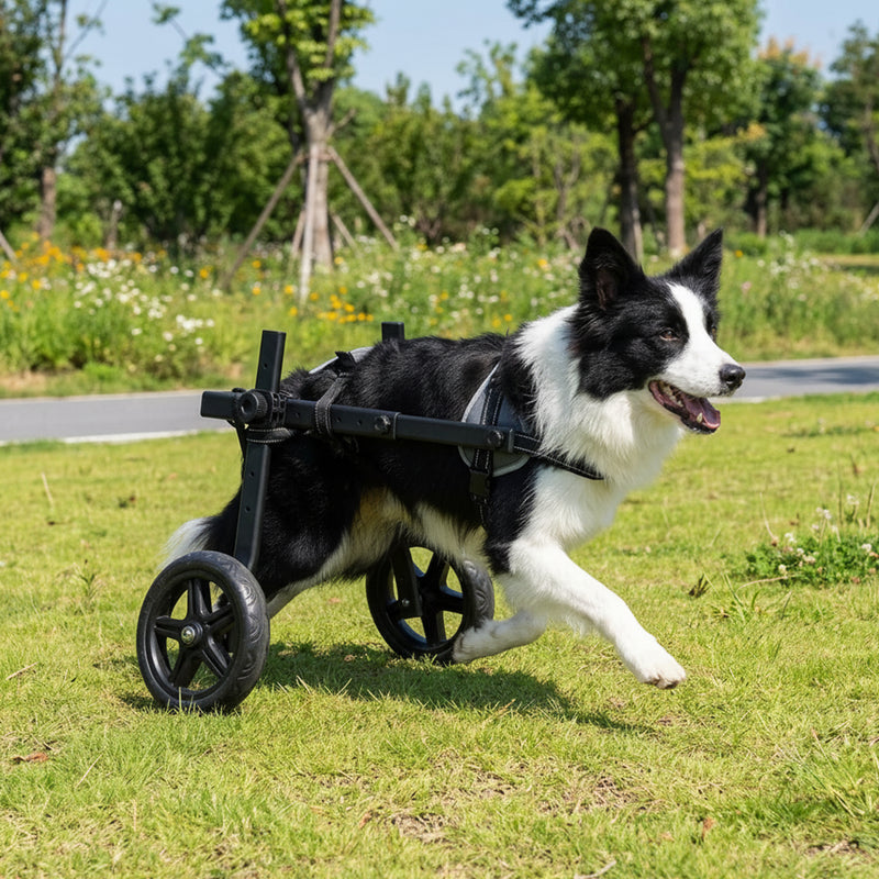 Advwin Dog Wheelchair for Hind Legs 12.5–20kg Pets