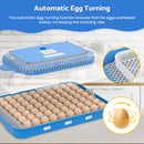 Advwin 70 Eggs Incubator Automatic Egg Turning