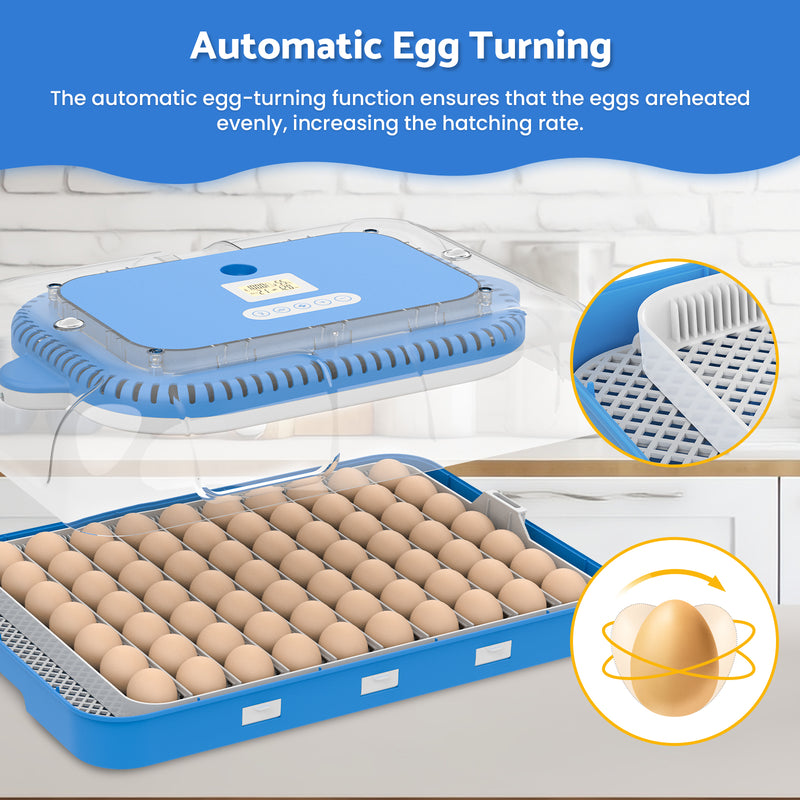 Advwin 70 Eggs Incubator Automatic Egg Turning(Pre-order)