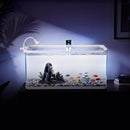 Advwin Fish Tank 50L with Artificial Hill 3-Color Lighting