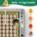 Advwin 36 Eggs Incubator with Automatic Turner (Pre-Order)