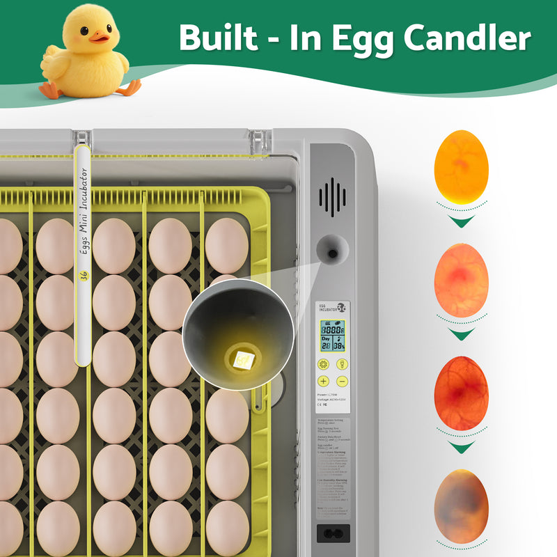 Advwin 36 Eggs Incubator with Automatic Turner