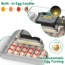 Advwin 48 Egg Incubator for Hatching Eggs (Pre-Order)