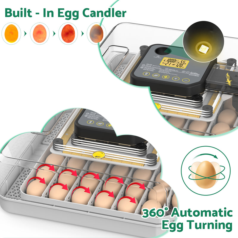 Advwin 48 Egg Incubator for Hatching Eggs
