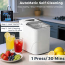 Advwin 12KG Countertop Ice Maker Self-Cleaning Ice Machine