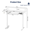 Advwin 120cm Electric Standing Desk w/ LED Light