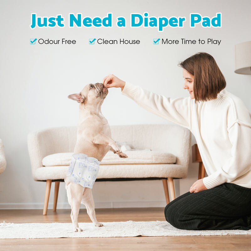 Advwin Disposable Dog Diapers for Male Dogs