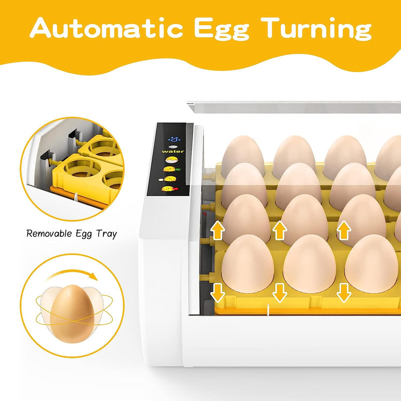 Advwin 24 Egg Incubator Automatic Turning