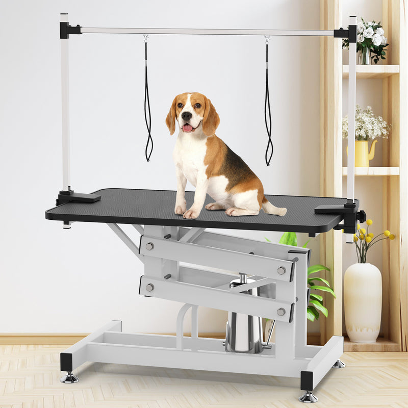 Advwin Hydraulic Pet Grooming Table for Large Dogs