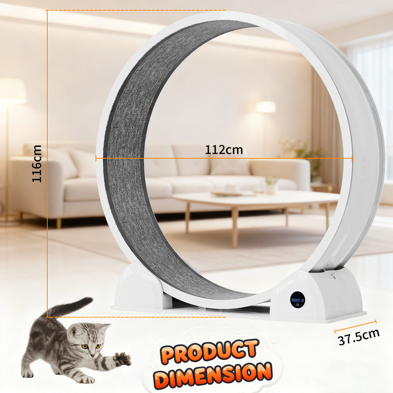 Advwin Cat Exercise Wheel with Digital Counter Display