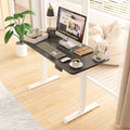 Advwin Electric Standing Desk  Adjustable Height 120cm