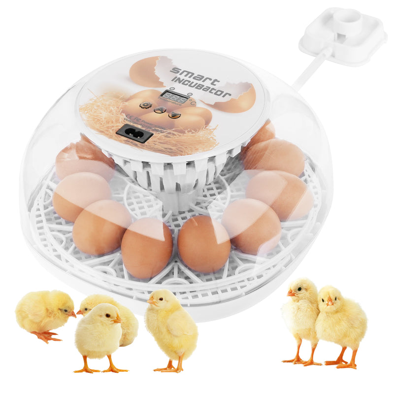 Advwin 12 Eggs Incubator Fully Automatic Turning