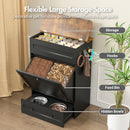 Advwin Dog Feeding Station with Storage & Steel Bowls
