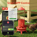 Advwin 3.5L Automatic Chicken Feeder w/ App Control & Timer