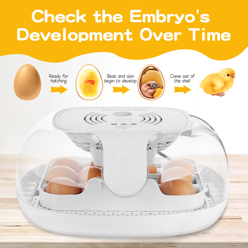 Advwin 4-30 Eggs Incubator Fully Automatic Turning