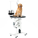 Advwin Electric Lifting Pet Grooming Table 24Inch 360°