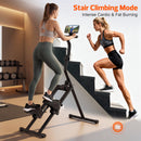 Advwin Stair Stepper with LCD Display for Home Gym