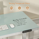 Advwin Electric Standing Desk with Drawer