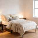 Advwin Metal Bed Frame Mattress Platform Foundation