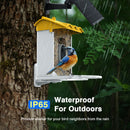 Advwin Smart Bird Feeder with Camera AI Recognition