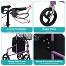Advwin Rollator Walker 3 Wheel with Basket and Tray
