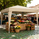 Advwin Folding Pop-up Gazebo Marquee 3*3m
