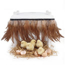 Advwin 12"x12" Chick Brooder Heating Plate
