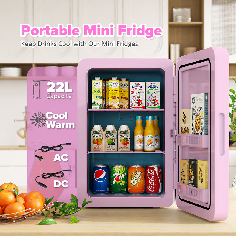 Advwin 22L AC/DC Portable Fridge Mini Refrigerator