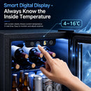 Advwin 36L Mini Beverage Cooler with Adjustable Temp